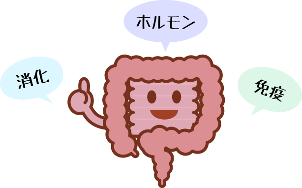 意外にも多機能な腸のイラスト