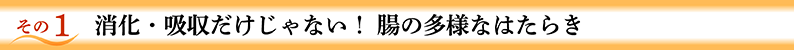 その1 消化・吸収だけじゃない！ 腸の多様なはたらき