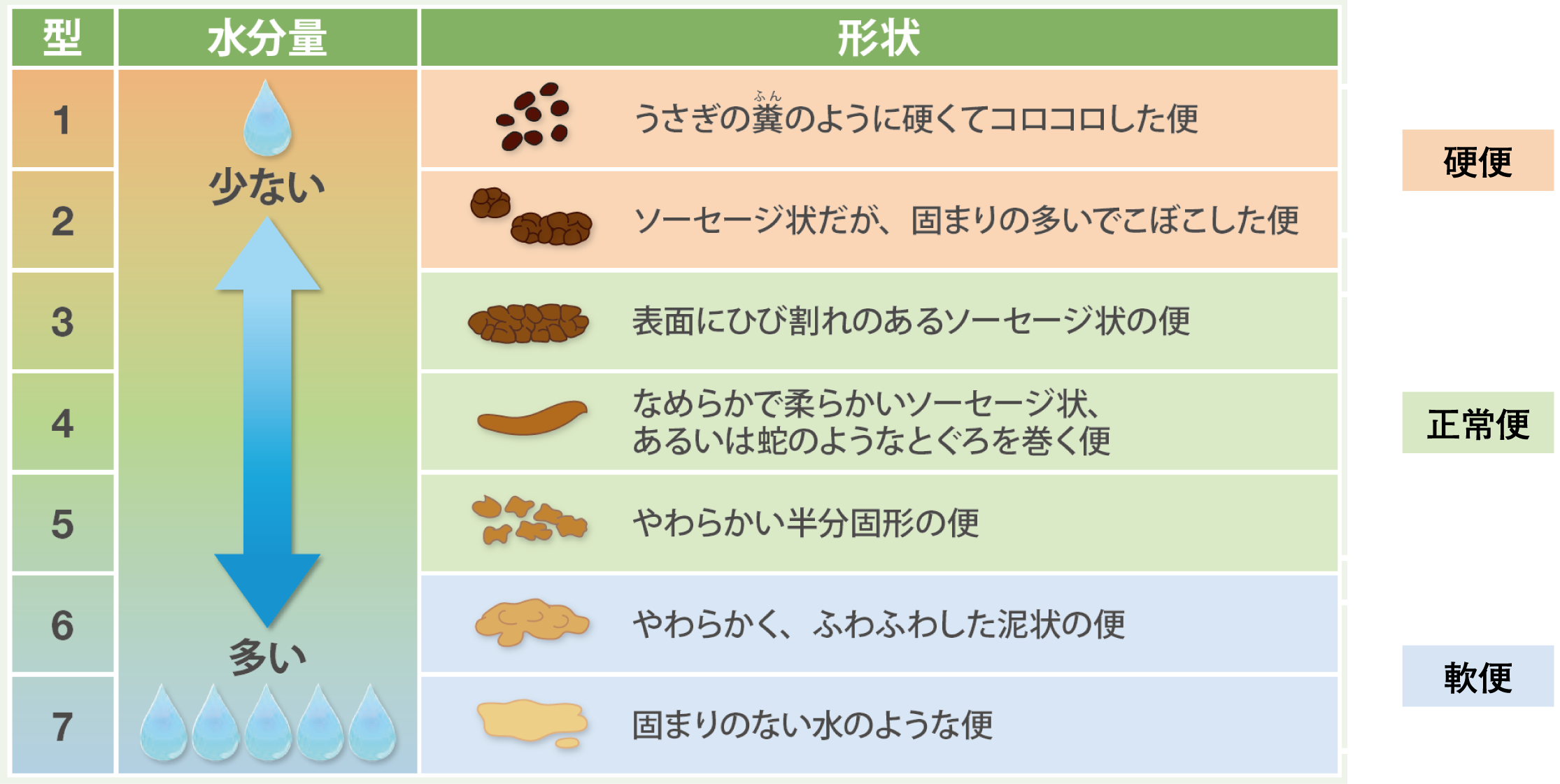 ブリストル便形状スケールを示す図