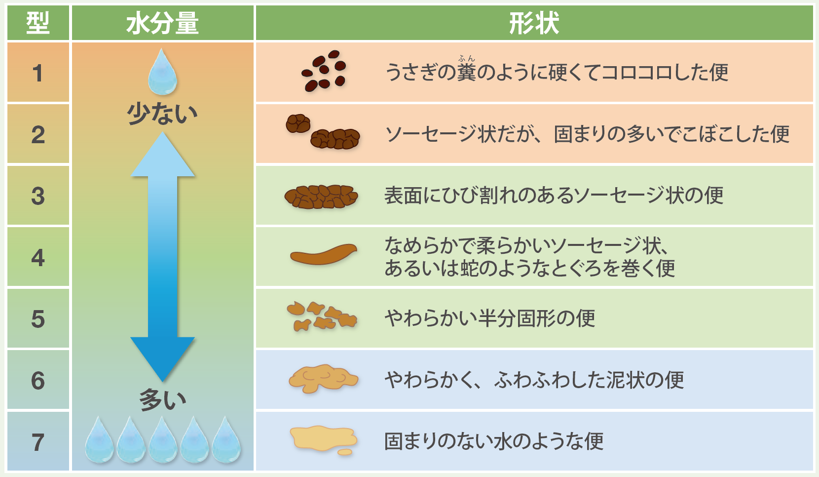 ブリストル便形状スケールの図