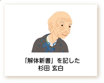 「解体新書」を記した杉田 玄白のイラスト