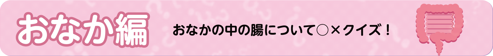 お役立ち！便秘解消クイズ～おなか編～